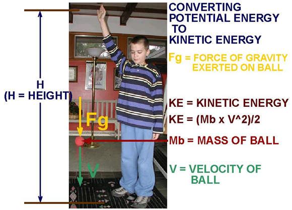 Potential Energy And Kinetic Energy