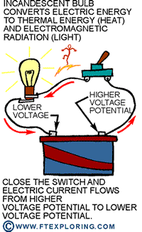 Into the Cool: Energy Flow, Thermodynamics, and Life